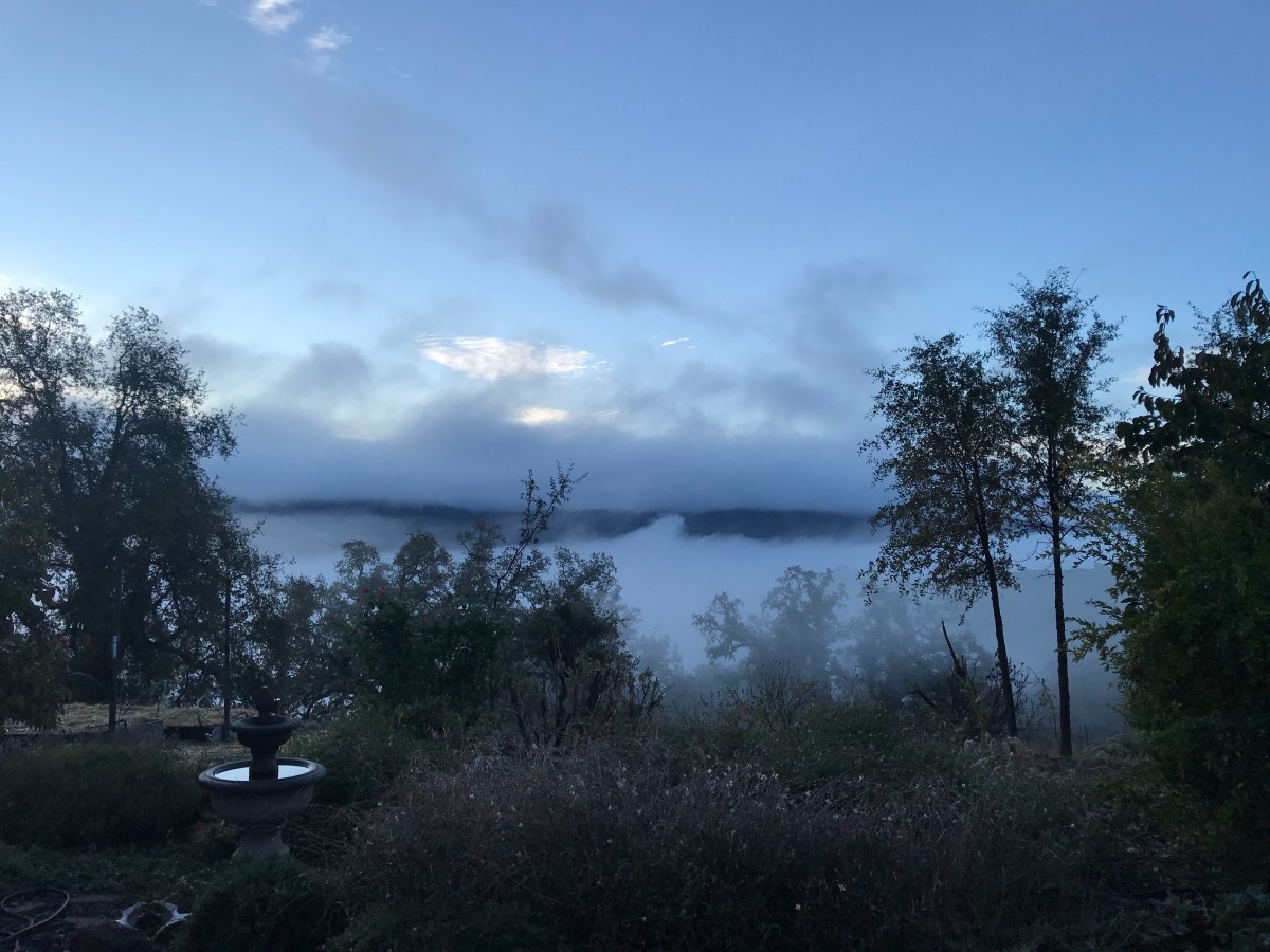 New Year’s Resolutions&nbsp;2021